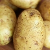 Cuisson des pommes de terre