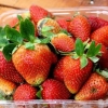 Congeler des fraises