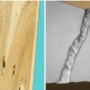 Se débarrasser des termites