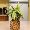 Faire du jus d'ananas