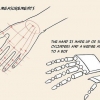 Dessiner des mains d'anime