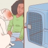 Faire des balades en voiture avec son chien