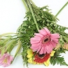 Arrangement floral