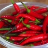 Faire sécher les piments