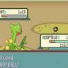 Obtenir crobat dans pokemon emerald