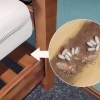 Identifier une infestation de punaises de lit