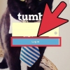 Supprimer un blog sur tumblr