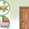 Attraper un lézard dans la maison