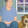 Calmer un chien pendant un orage
