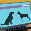 Adopter un chien d'assistance