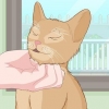 Caresser un chat