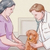 Vermifuger un chiot