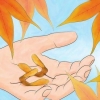 Germination des graines d'érable