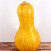 Conserver la gourde