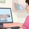 Élevage avec des chiens
