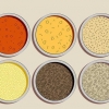 Cultiver le millet