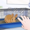 Arrêtez le comportement mordant d'un lapin