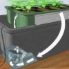 Cultiver des tomates hydroponiques