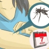 Prendre soin d'une personne atteinte de dengue