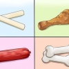 Apprendre à son chien à parler