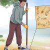 Empêcher les chats de faire caca dans votre jardin