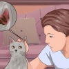 Éliminer les acariens chez les chats