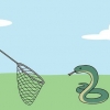 Attraper des serpents