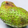 Faire du jus de corossol