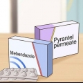Se débarrasser des oxyures