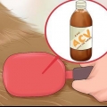 Utiliser du vinaigre de cidre de pomme chez les chiens