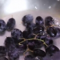 Faire des raisins surgelés