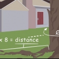 Déterrer les racines des arbres
