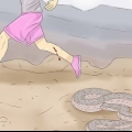 Traiter une morsure de serpent à sonnette