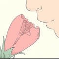 Décrire un parfum