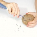 Ouvrir une noix de coco