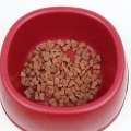 Rendre les croquettes d'un chien plus savoureuses pour qu'il mange de tout