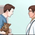 Aider votre chien à se débarrasser