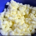Conservation des grains de kéfir