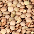 Préparer des lentilles