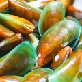 Cuisson des moules