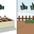 Faire pousser des tomates