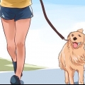 Aimer son chien