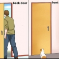 Empêcher un chat de sortir par la porte