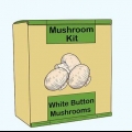 Cultiver des champignons blancs