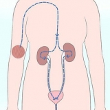 Abaisser un niveau de créatinine trop élevé