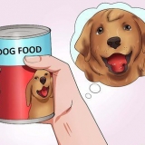 Faites avaler une pilule à votre chien