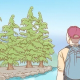 Survie en forêt