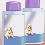 Se débarrasser des puces sur des chiots trop jeunes pour des moyens normaux