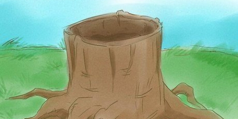Tuer les racines des arbres