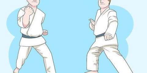 Comprendre les bases du karaté